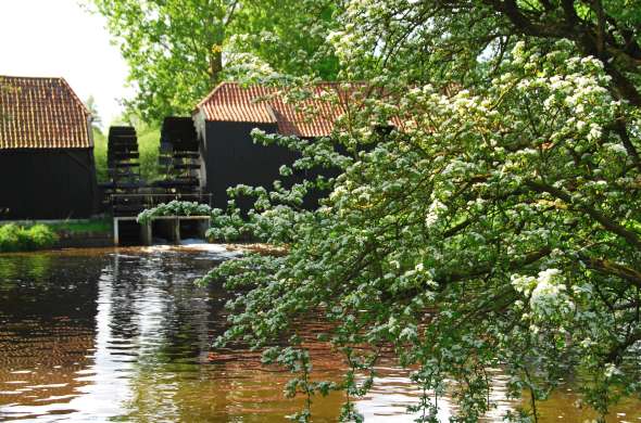 Beeld bij Watermolens langs de Dommel