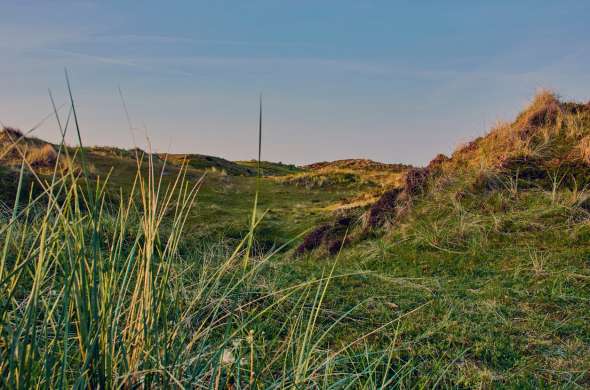 Beeld bij Schoorlse Duinen en de Noordzee