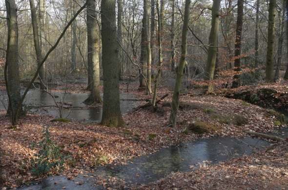 Beeld bij Bossen en exclaves in Brabant