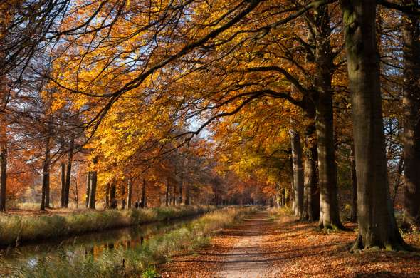 Beeld bij Door het Paradijs