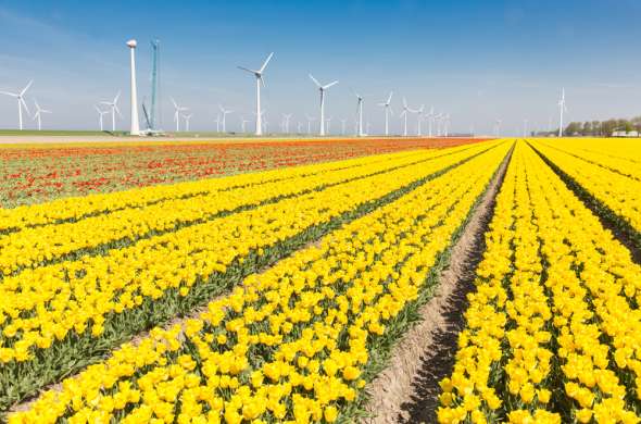 Beeld bij Windpark Noordoostpolder