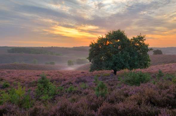 Beeld bij Heuvels in Nationaal Park Veluwezoom