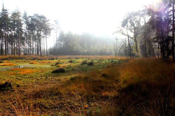 Beeld bij Het Zuidelijk Westerkwartier en de Bakkeveense Duinen