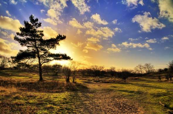 Beeld bij De Amsterdamse Waterleidingduinen en de Kagerplassen