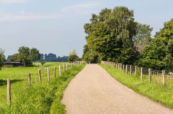 Beeld bij Fietsen langs de Vecht