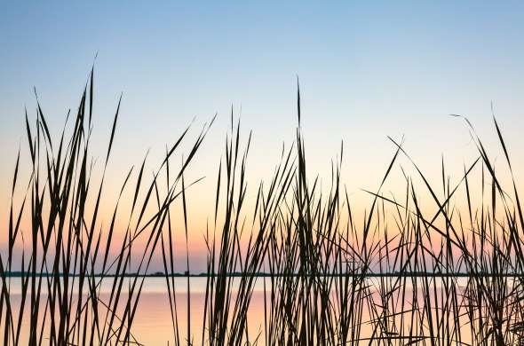 Beeld bij Rondje Sneekermeer en Pikmeer