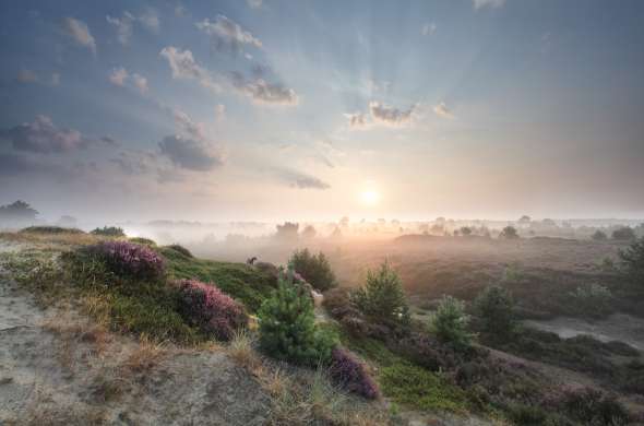 Beeld bij De Gasterse Duinen