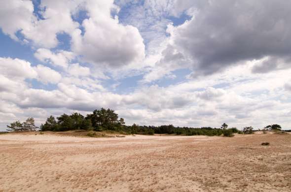 Beeld bij Leuvenhorst en het Hulshorsterzand