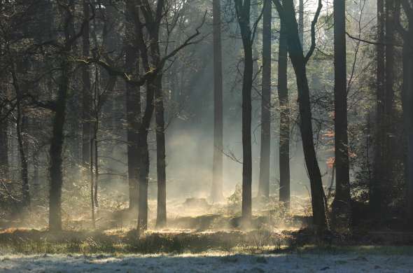 Beeld bij De voormalige stuwwal van Westerwolde