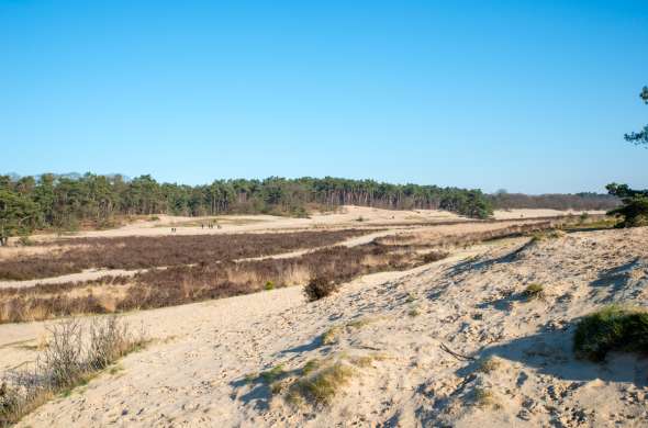 Beeld bij De Brabantse Sahara