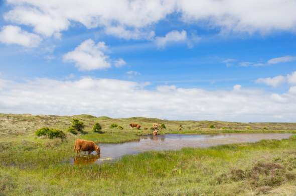 Beeld bij De grootste natuurlijke duinmeren van West-Europa