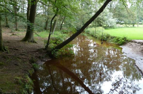 Beeld bij Door de Overloonsche Duinen