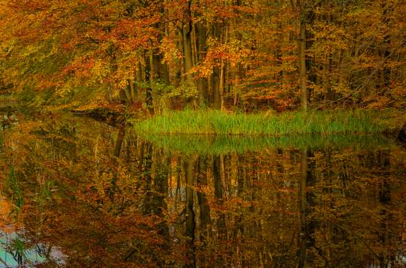 Beeld bij Een uniek stukje heide in Flevoland