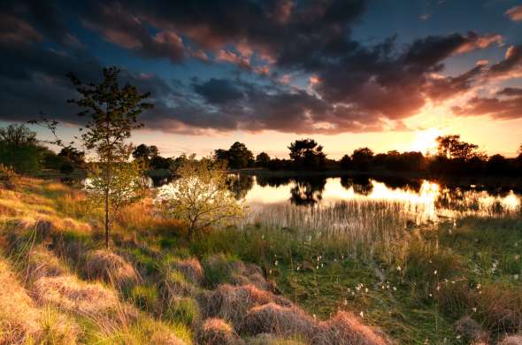 Beeld bij De natuur van Heeze-Leende