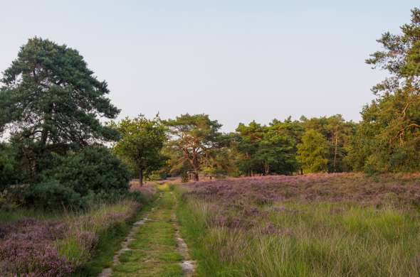 Beeld bij Grafheuvels en landschapskunst op de heide