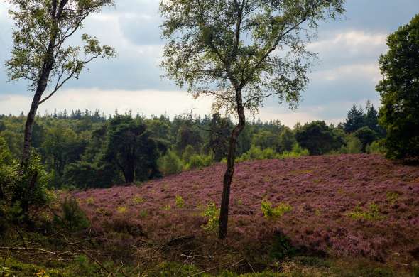 Beeld bij Sporen van de oorlog op de Sallandse Heuvelrug