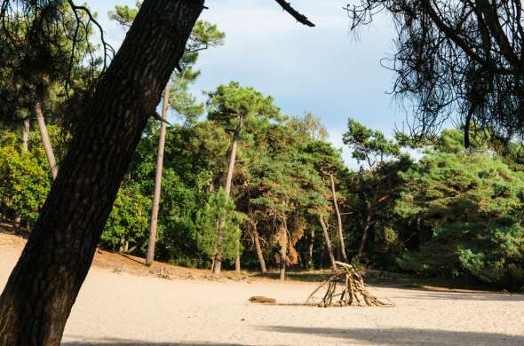 Beeld bij Via De Loonse en Drunense Duinen naar het prachtige Heusden