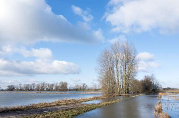 Beeld bij Natuur in Zwolle: Buitenlanden Langenholte