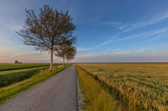 Beeld bij De Carel Coenraadpolder