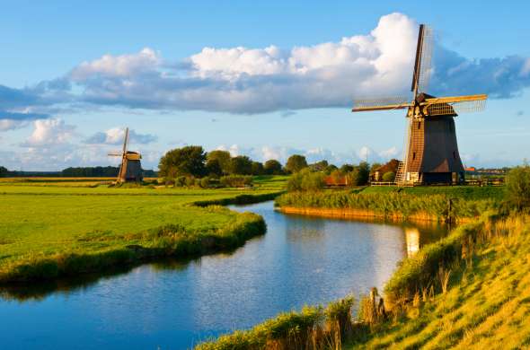 Beeld bij Molens, polders en koeien: Hollands landschap