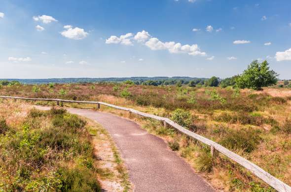 Beeld bij Luttenberg en Nationaal Park De Sallandse Heuvelrug