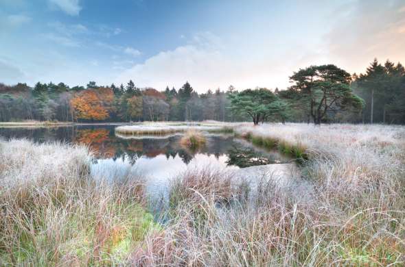 Beeld bij Natuur op voormalige vloeivelden