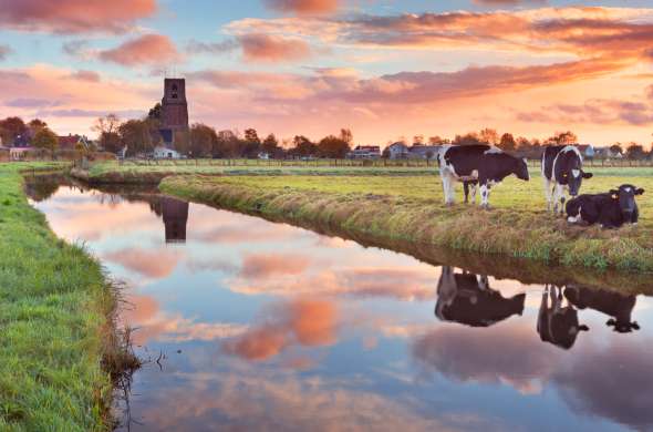 Beeld bij Landelijk Noord en het Waterland