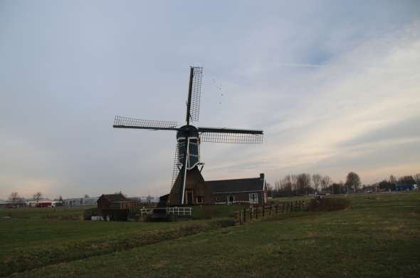 Beeld bij Polderlandschap langs de Limes