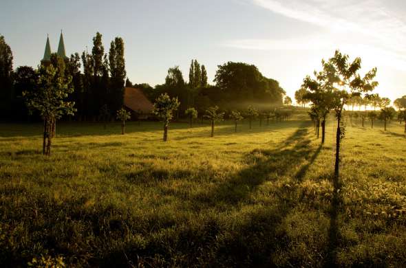 Beeld bij Het grootste dorp van Zuid-Holland