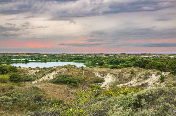 Beeld bij De duinen van Meijendel