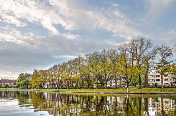 Beeld bij De stadsparken van Leeuwarden