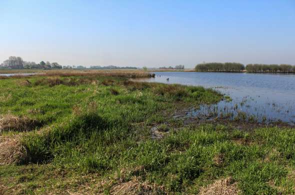 Beeld bij Langs de Noorder Krammer