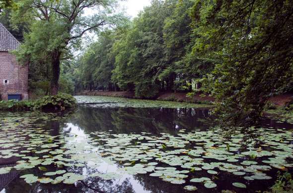 Beeld bij Natuur en kastelen langs de Maas