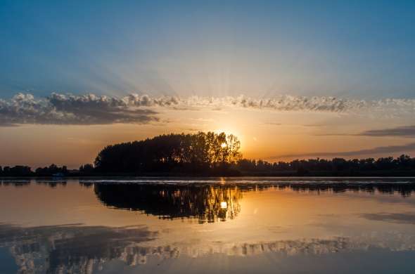 Beeld bij Vogels in de Brabantse Biesbosch