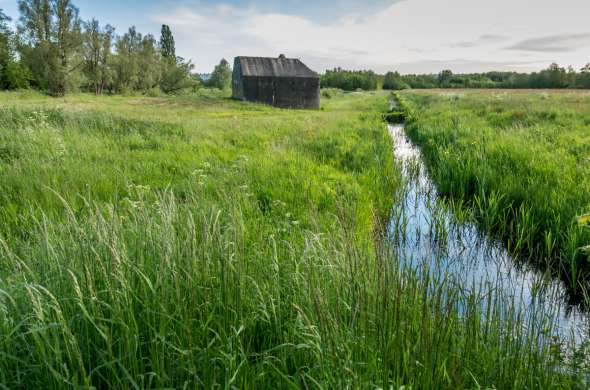 Beeld bij Polders en plassen