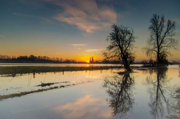 Beeld bij Nederrijngebied Zaltbommel