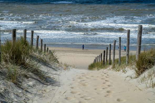 Beeld bij Lisse/Zandvoort