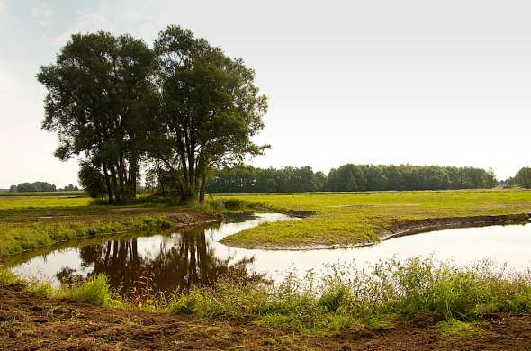 Beeld bij Drentsche diepen