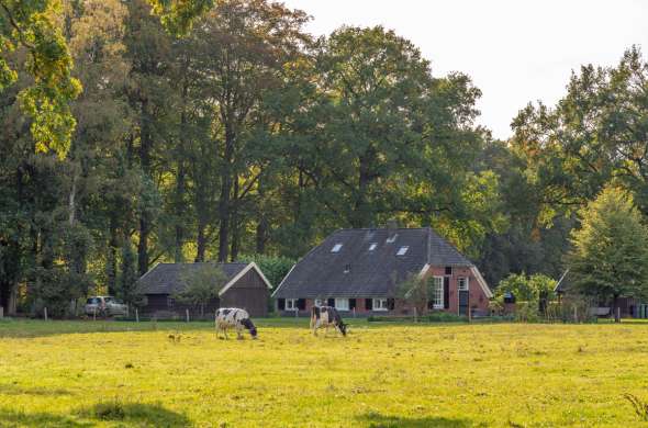 Beeld bij Door de Graafschap