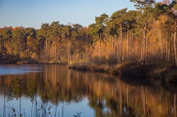 Beeld bij Nationaal Landschap Het Groene Woud