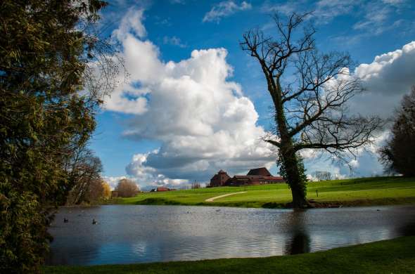 Beeld bij Door de bossen van Edingen