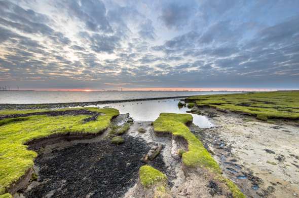 Beeld bij Polder Breebaart en de Punt van Reide