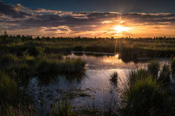 Beeld bij Hoogveen in Overijssel