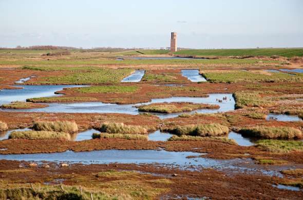 Beeld bij Natuurlijk Schouwen-Duiveland