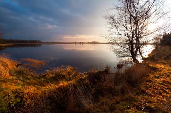 Beeld bij Heide op het Dwingelderveld