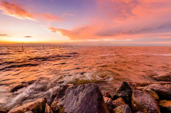 Beeld bij De IJsseldelta