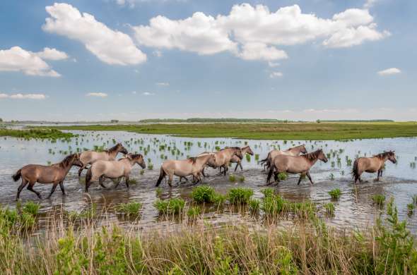 Beeld bij Het Land van Juffrouw Ali