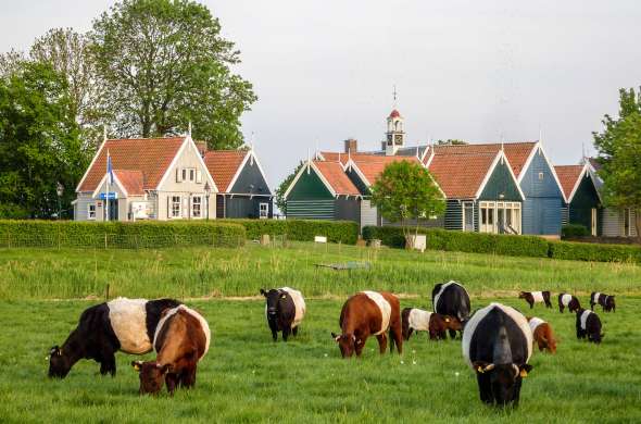 Beeld bij Voormalige eilanden in de Zuiderzee