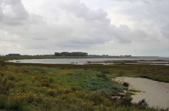 Beeld bij De kust van Zeeuws-Vlaanderen