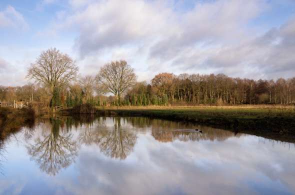 Beeld bij Door het Zoomland